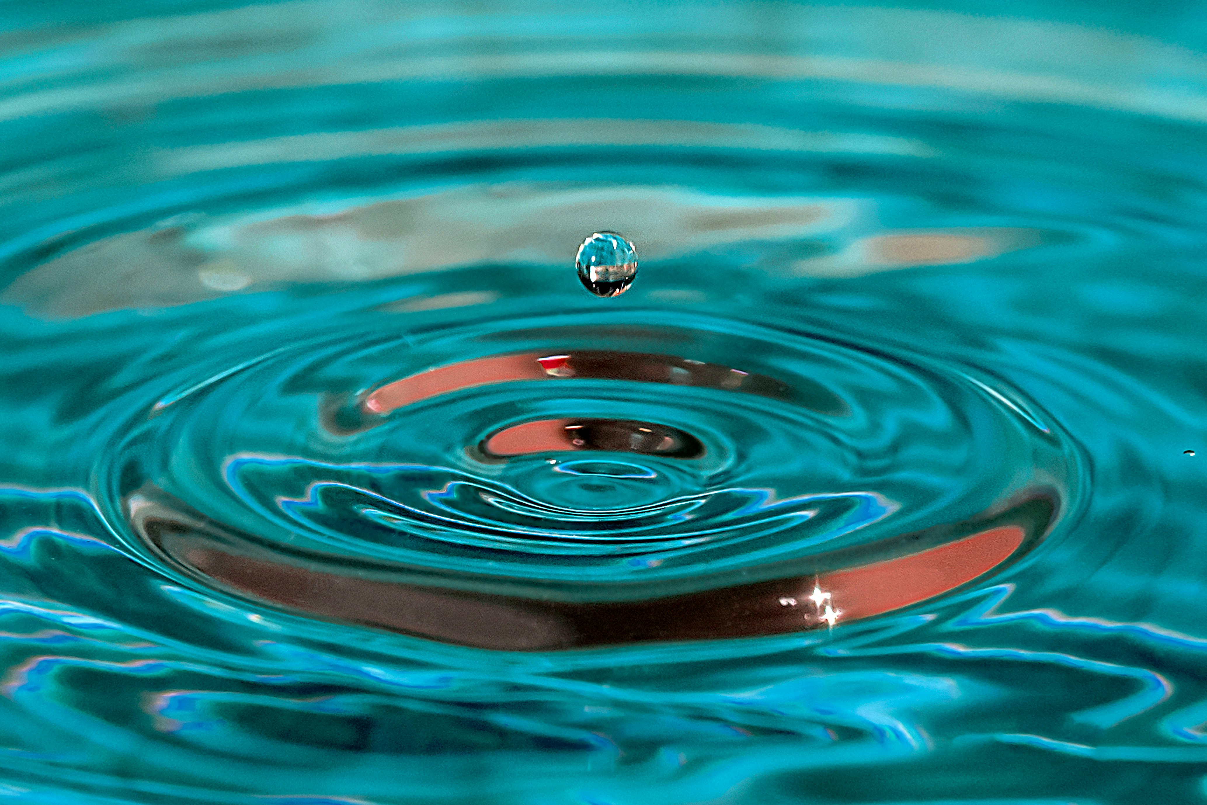 water drop on body of water